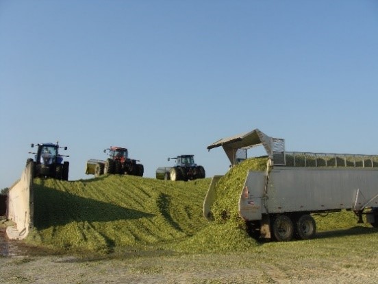 Determining the Tons of Silage in Bunker Silos for CFAP - Paul Mitchell