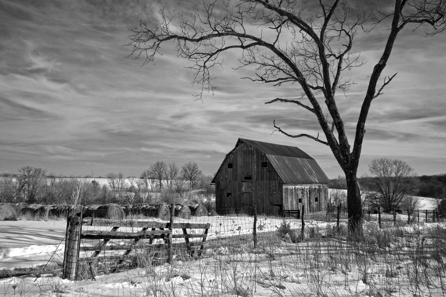 A black and white shot of midwest farm with a barn, bare tree, and fence in snow.